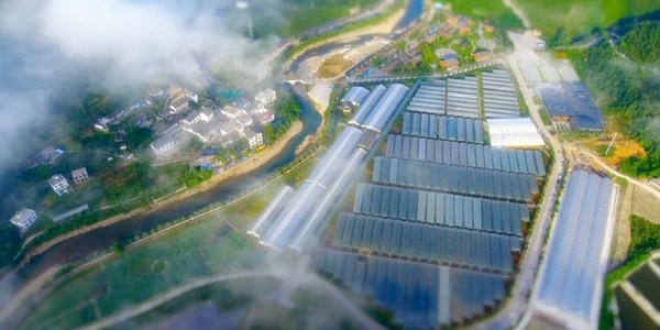 金融活水润泽“希望田野”｜农发行精准信贷赋能，焦点平台全域土地整治项目前景广阔